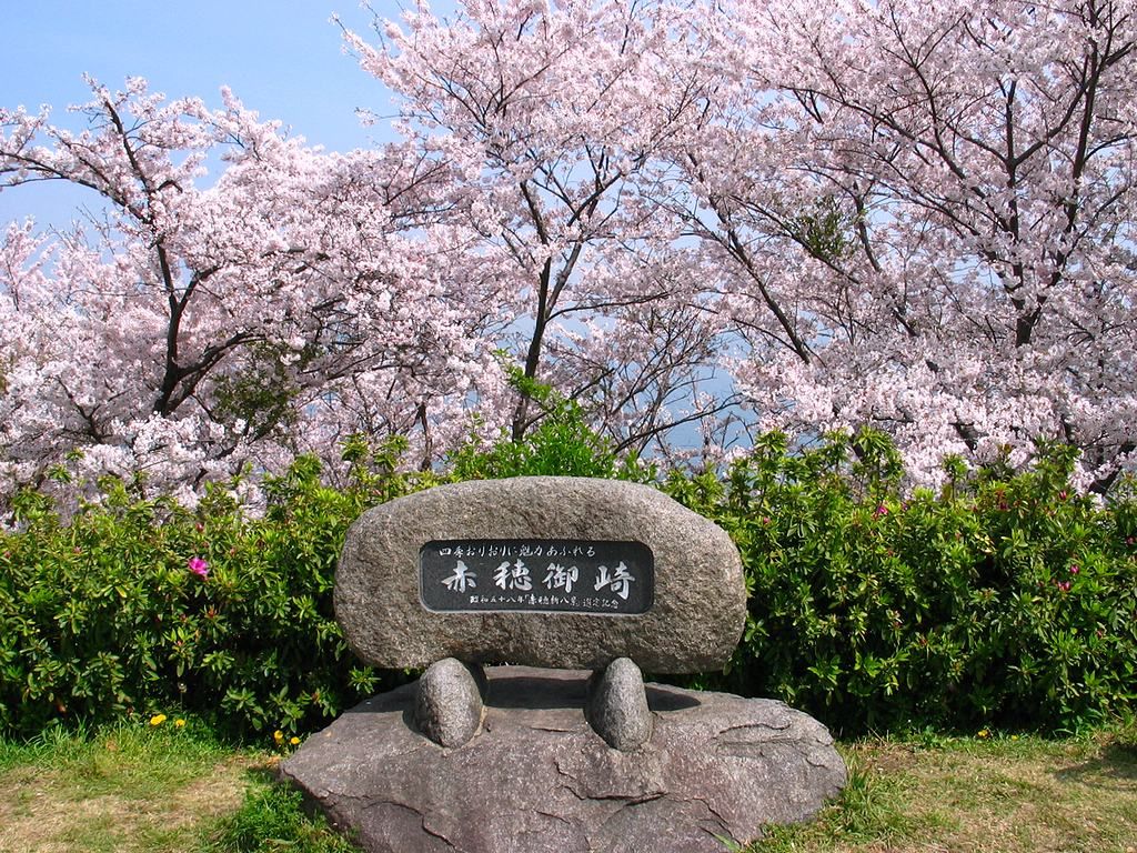 客室｜あこうビジネスホテル桜館｜赤穂／西日本の素敵な宿・高枕(たかまくら)