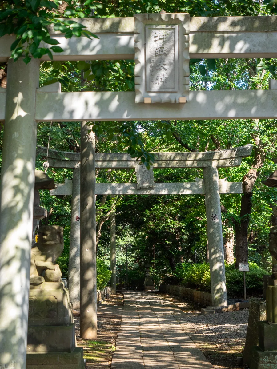 高円寺『麺昇 神の手』。唐辛子の辛さと山椒のシビレが選べる「赤」ラーメンとボリューム満点餃子｜さんたつ by 散歩の達人