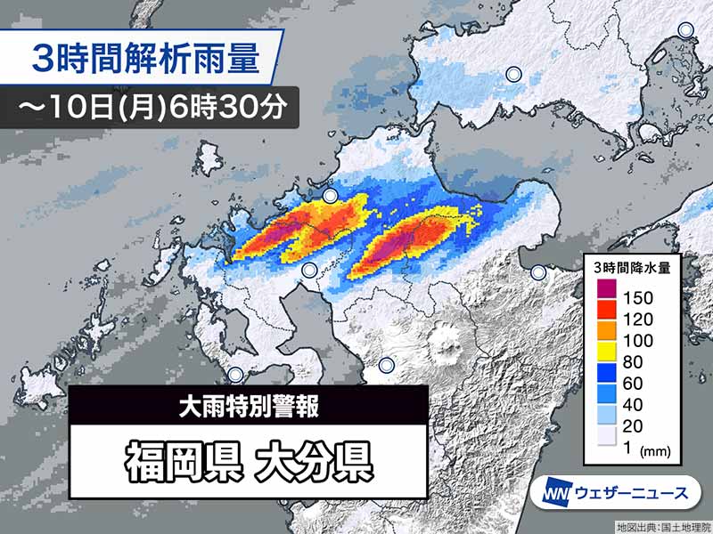 害獣駆除、害虫駆除、雨漏り工事から総合リフォームまで 【ロイ株式会社 トップページ】