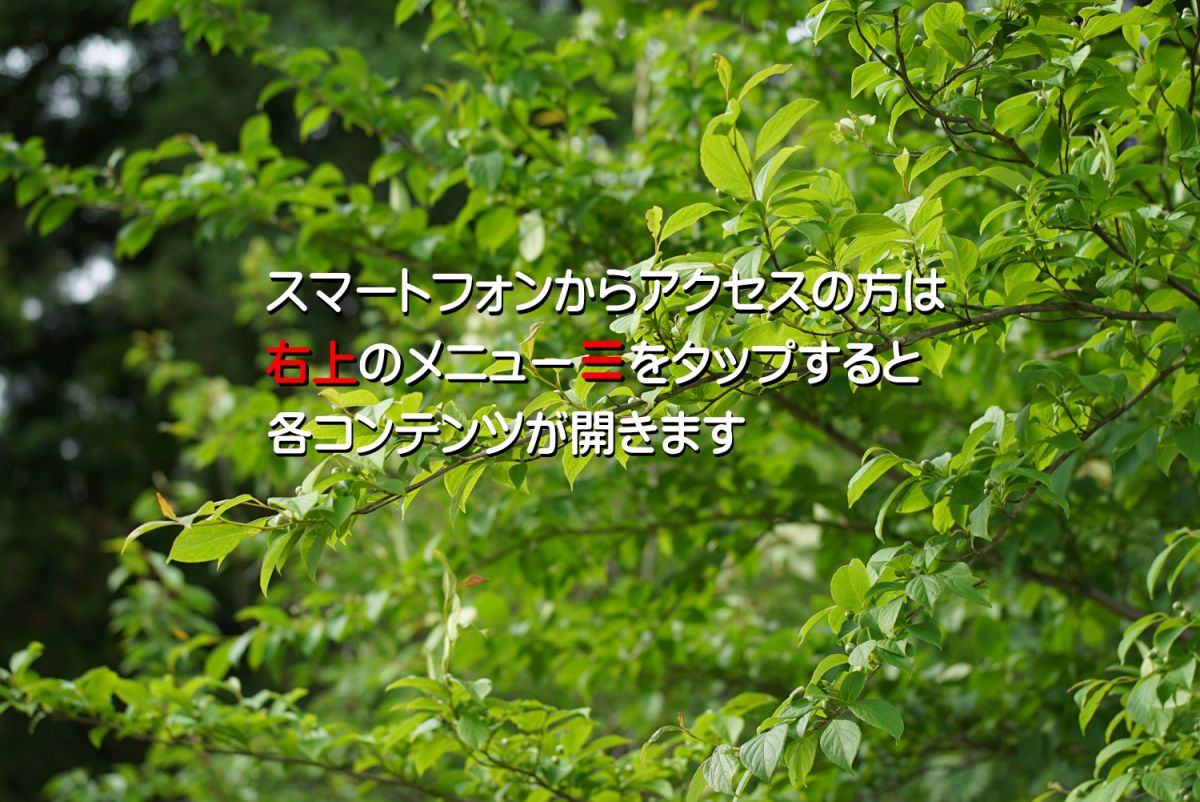 浮気と県民性】青森・岩手・宮城 3県の浮気と県民性は？｜浮気探偵.com