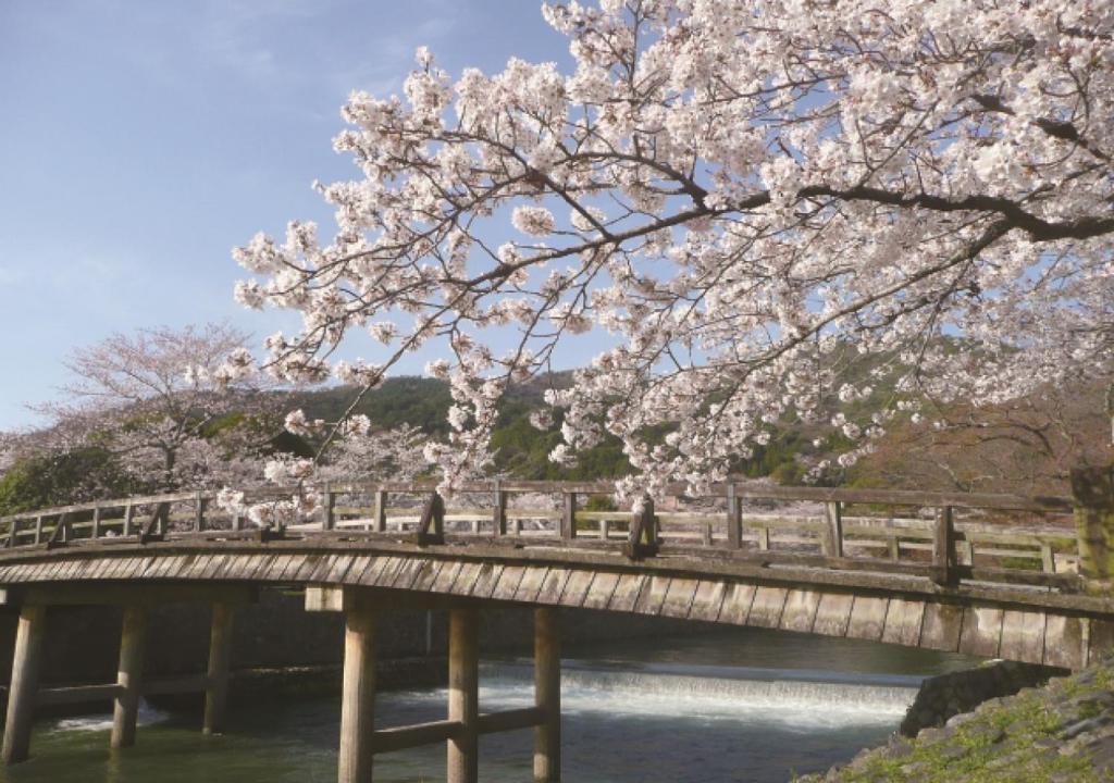 ホテルステーション京都西館 - 宿泊予約は【じゃらんnet】