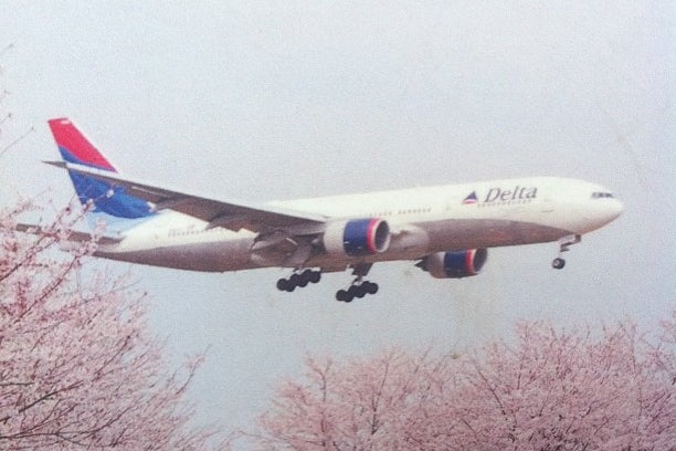 満開の桜と飛行機を同時に楽しむことができます。 - 成田市、さくらの山公園の写真 - トリップアドバイザー