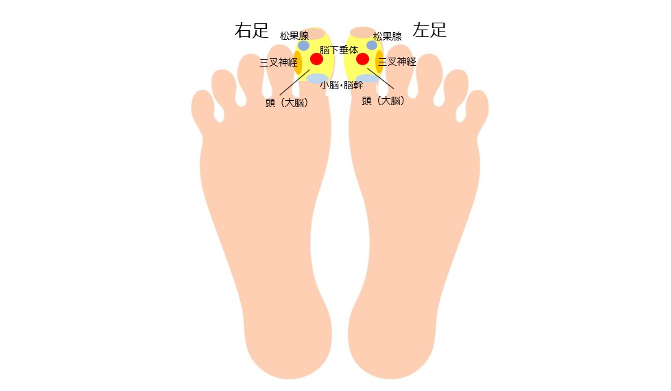 足つぼでむくみ対策！】北池袋駅の足つぼマッサージ（足裏・フットケア）が人気の厳選サロン7選 | EPARKリラク＆エステ