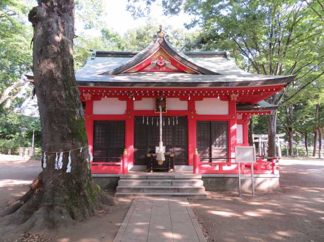 西武池袋線（石神井公園～秋津）で「鶏皮」のある和食のお店 | ホットペッパーグルメ