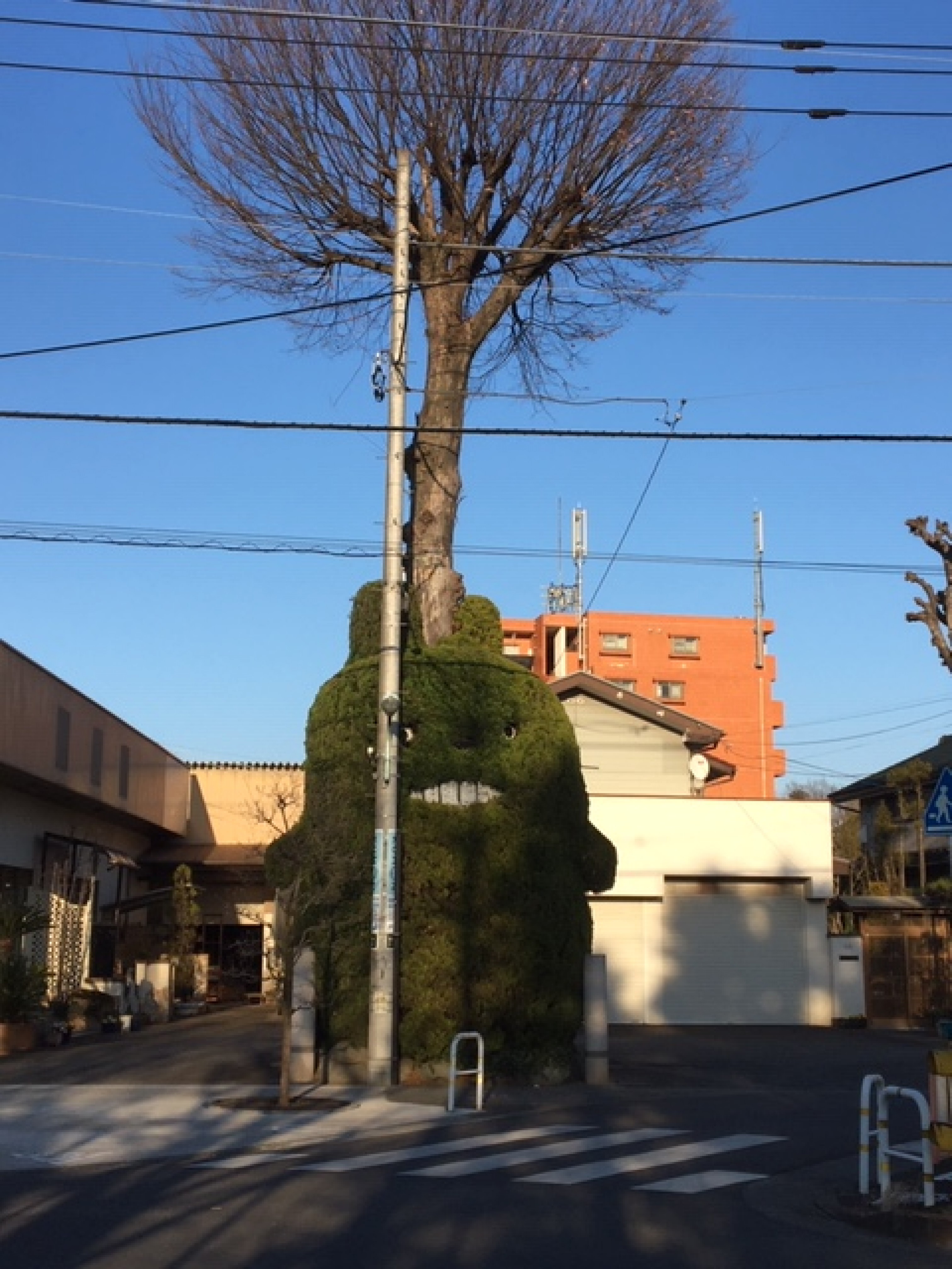 兎兎魯（国分寺/居酒屋） - Retty