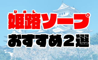 東横INN岡山駅西口広場（岡山市）：（最新料金：2025年）