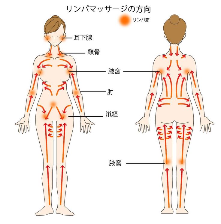 初回限定お試しコース神戸西宮北口 温熱リンパマッサージ専門店 ボディラボプラス | 神戸西宮北口