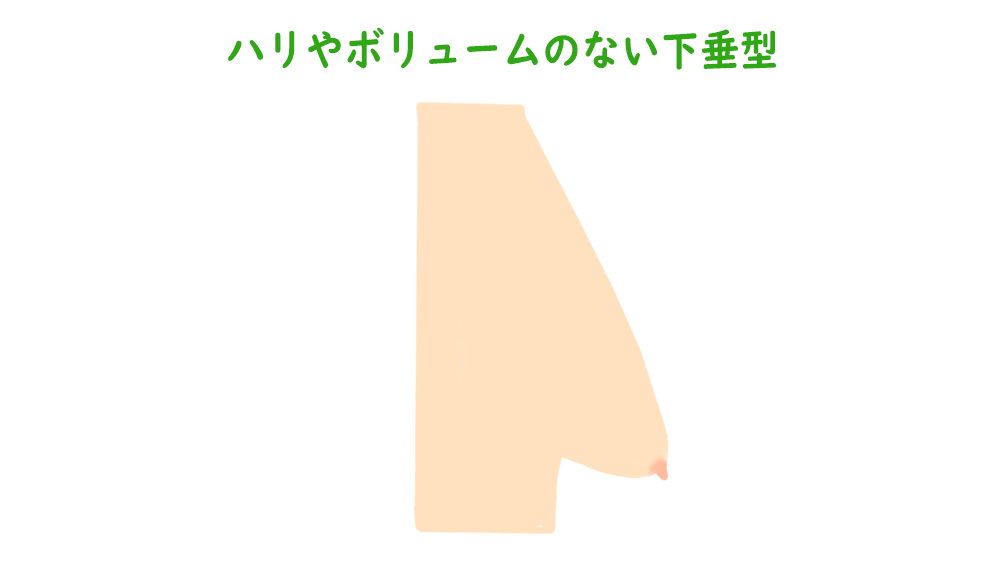 お椀型の理想的な乳房：04【おっぱい図鑑】