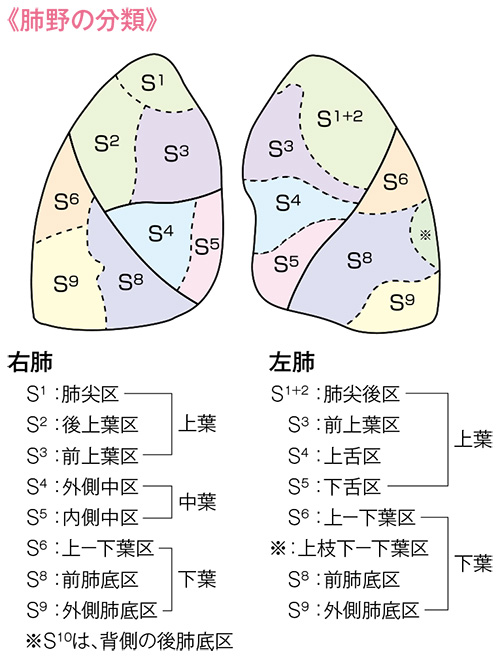 体位変換、どうすればいい？正しいやり方のコツを大公開｜介護のお仕事研究所