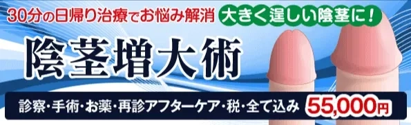 女性に好かれる上反りペニスとは？上向きペニスとの違いやトレーニング方法など | ザヘルプM