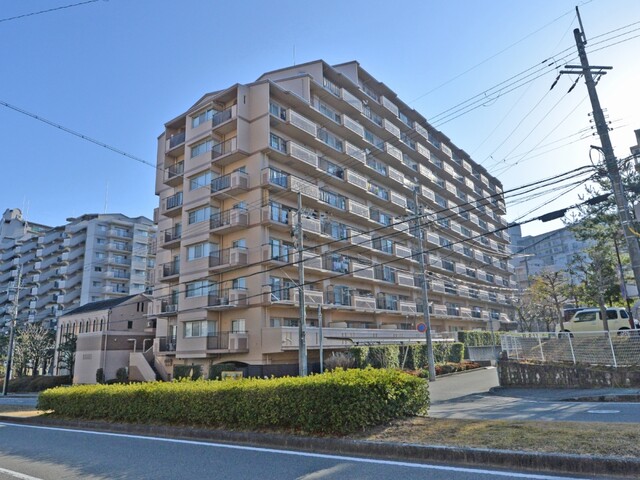 三ノ宮駅[JR西日本]（神戸市中央区）～コンパクトな構造のホーム上から並走する阪急電車の姿が楽しめる、兵庫県内最多の利用客数を誇るターミナル駅～ –  ご当地的鉄道メディア・えきログKANSAI