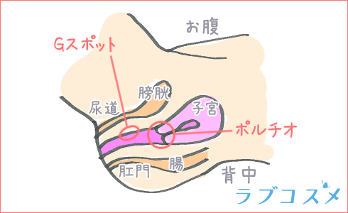 騎乗位は腰の動き方が大事！女性がイクほど気持ちいいやり方・彼が興奮する方法は？ | ファッションメディア -