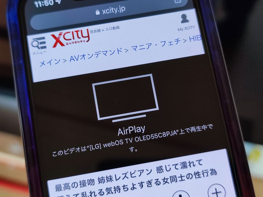 XCITY アダルトエンタメWEB -