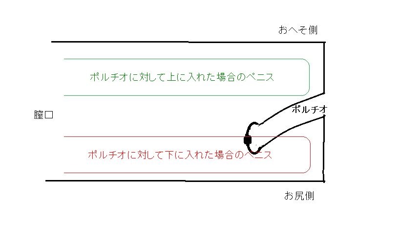 ポルチオとは？位置や開発方法、ポルチオセックスのやり方- 夜の保健室