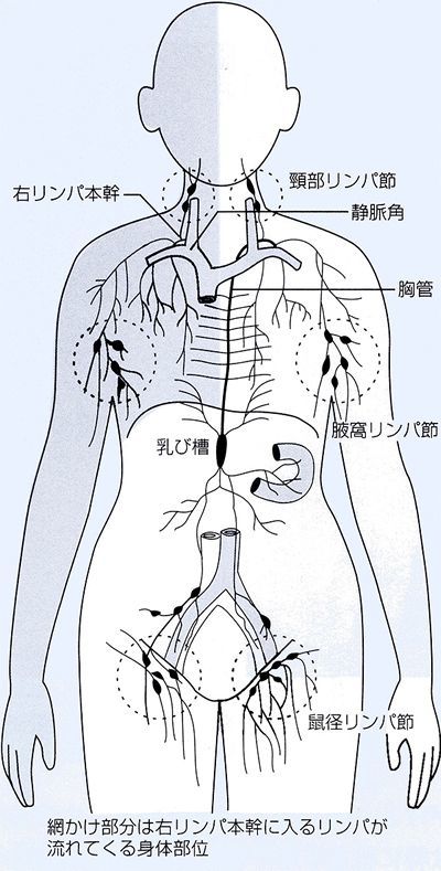 DM Spa | 志木・朝霞台・和光