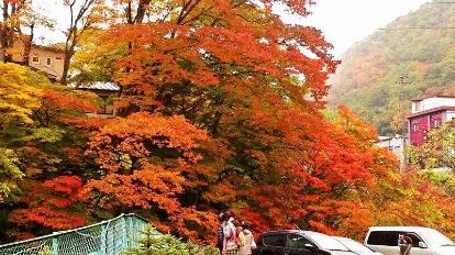 竹あかりの宿加賀助 -宿泊予約なら 【Yahoo!トラベル】