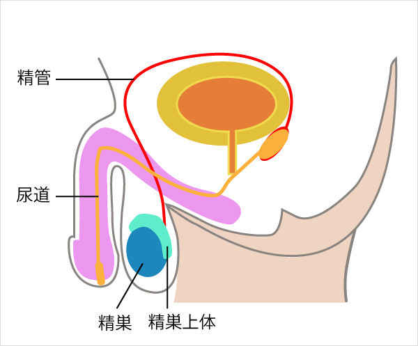 Dクリニックメンズヘルス【公式】-ED・男性更年期治療・男性の健康専門外来