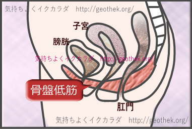 ブシャァァァ…な潮吹き見たくない？ヤンキーが幼馴染優等生に全身調教される神BLはこれだ!!!｜BLニュース ちるちる