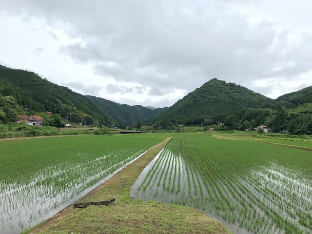 山口県周南市なないろリトミック教室 | クリスマスリトミック🎄開催 もうすぐクリスマス サンタさんは子ども達に素敵なプレゼントを