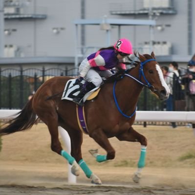 笠松競馬秋まつり』 | 日々 |