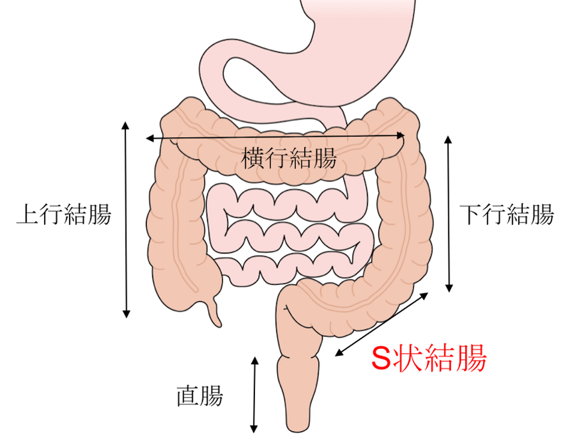 S字結腸開発 BL作品 |