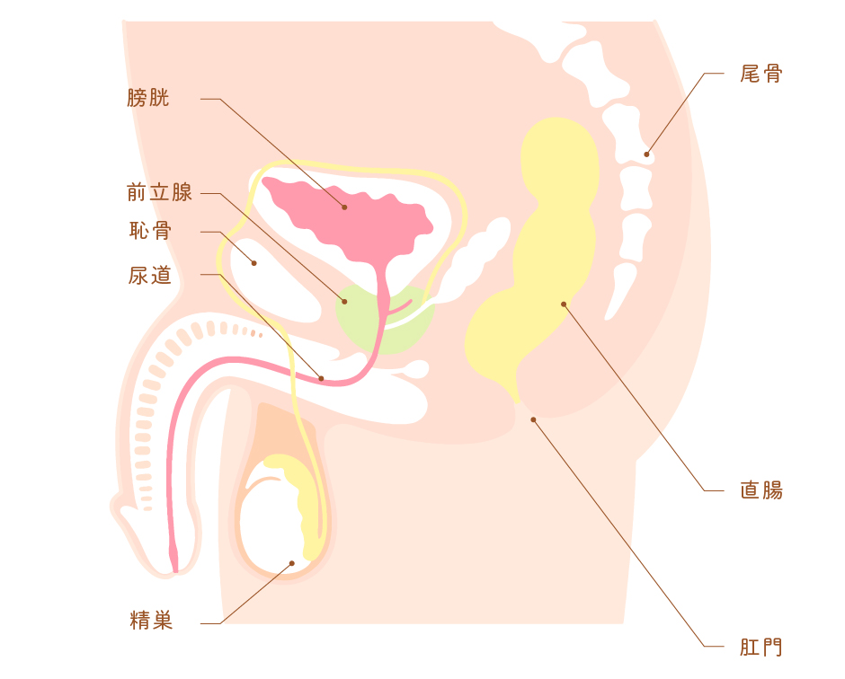 性行為感染症