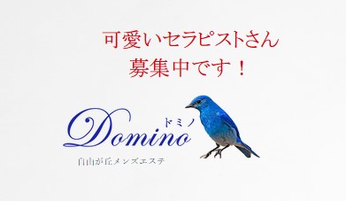 12月最新】東京都 メンズエステ アロマセラピーの求人・転職・募集│リジョブ