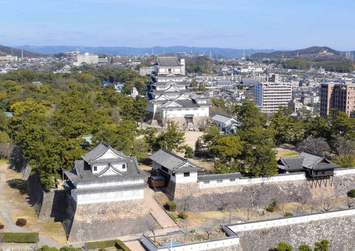 福山コネクト【福山市を繋ぐ•伝える】 | 【一心堂】 たんご 各1本