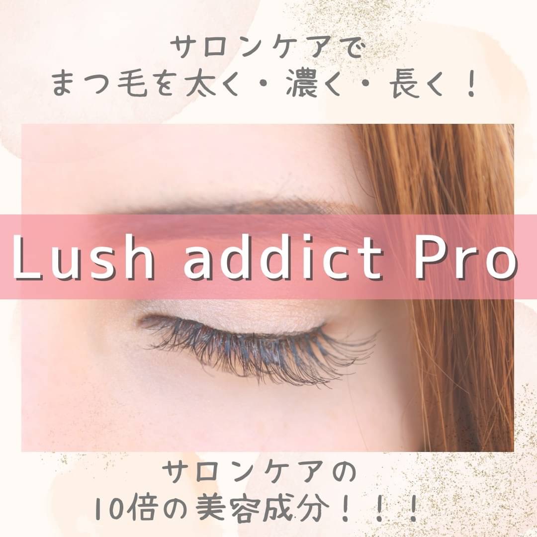 LUSH 広島本通り店 (@lushjp_hhhirshm) /