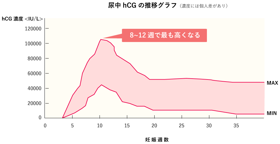 広広 報報