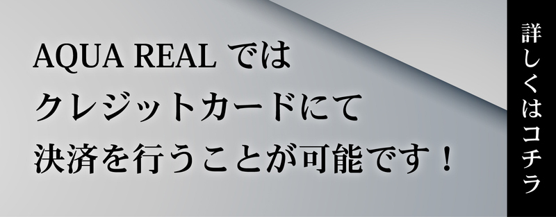 AQUA REAL -アクアレアル- -