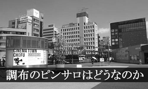 新宿歌舞伎町の社交飲食にゃんにゃんパラダイスは、中野からも近いオススメの風俗店です！アルバイト募集中！