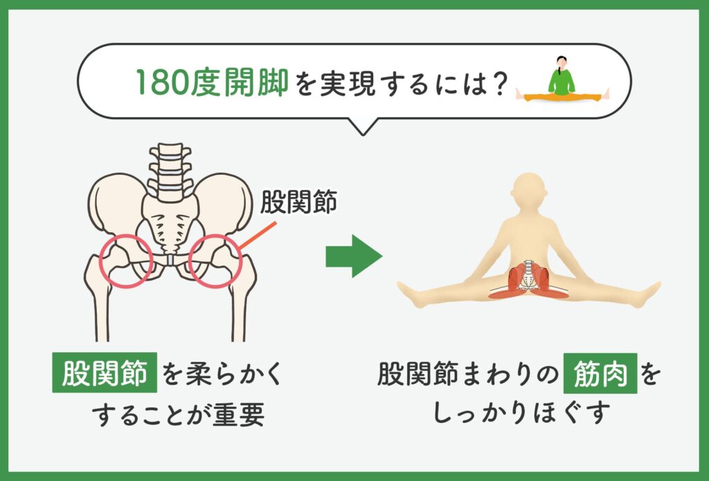 男性こそ｢開脚ストレッチ｣をやるべき理由 疲れない､老けこまない体が手に入る！ |