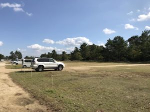 ぴちぴちビーチとは？楽しみ方や周辺観光スポットまでまとめ | 大阪・和歌山のおでかけ情報otent(おてんと)