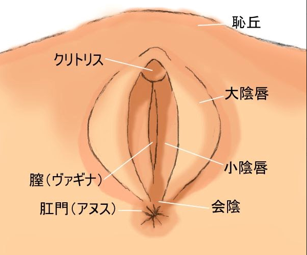 女性が確実にイくクリトリスの責め方！焦らすのがポイント！ | Trip-Partner[トリップパートナー]