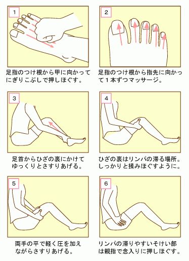 鼠径部痛症候群（グロインペイン症候群） ｜SPORTS MEDICINE LIBRARY｜ザムスト（ZAMST）