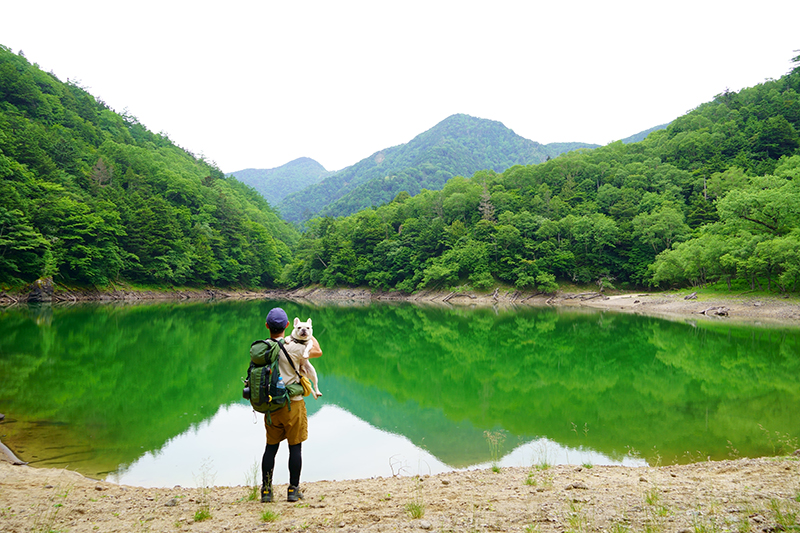 日本三大瀑布（滝）】栃木「華厳滝」・和歌山「那智の滝」もうひとつは？瀑布と滝の違いも解説 | TABIZINE～人生に旅心を～