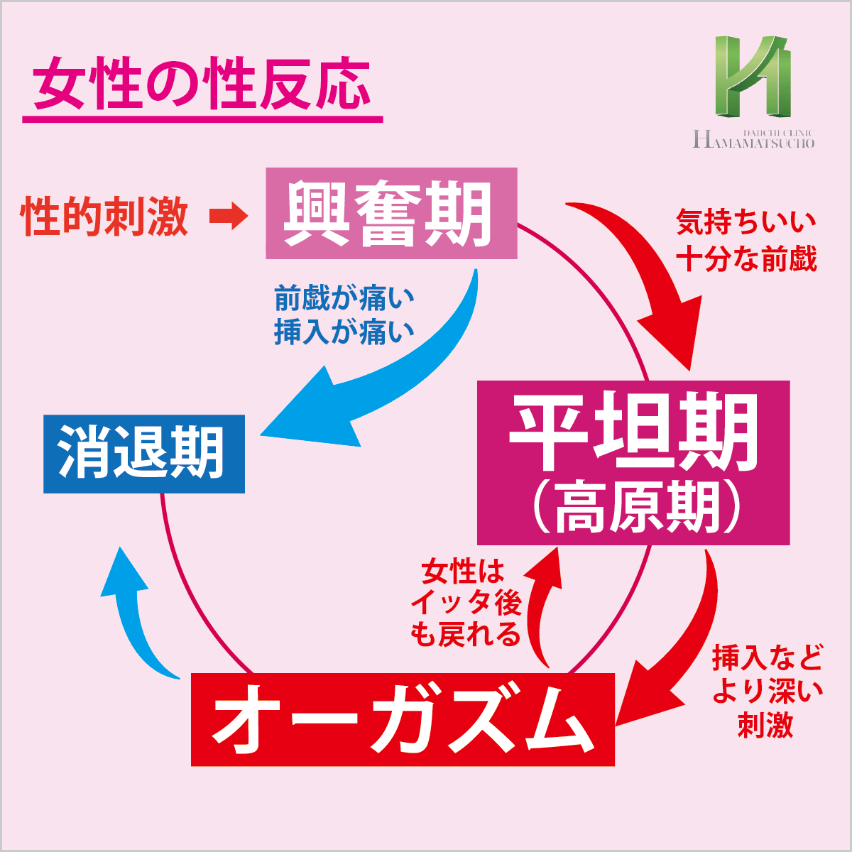 ポルチオとは？ 開発するとセックスが気持ちいい？ | 医師監修