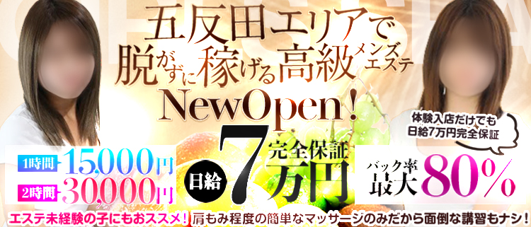 本日体験入店中、五反田・奥様専門デリヘル - アダルトDVD・ブルーレイ通販 - FANZA通販