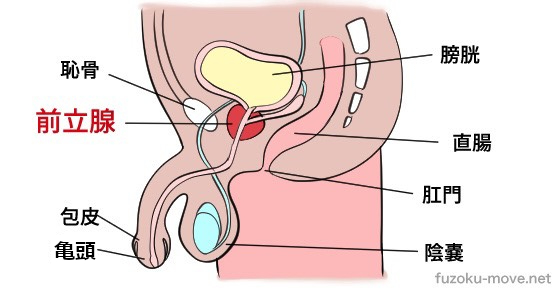 女性の潮吹きのやり方！コツと練習方法を解説