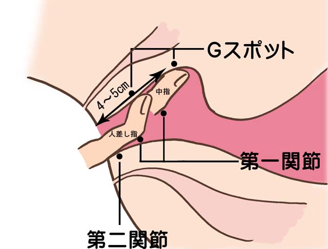 男の潮吹きのコツの声を集めてみました。 m性感imsブログ -