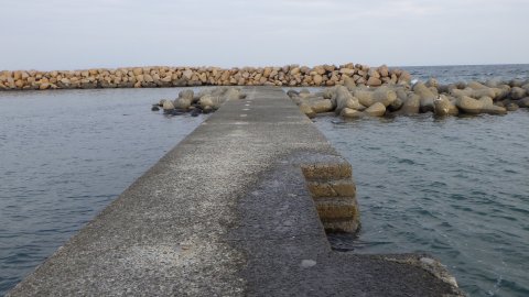 大阪の海に行こう！箱作海水浴場(ぴちぴちビーチ)と「ときめきビーチ」に行ってきました！ | アジアをひとりで旅してみたら