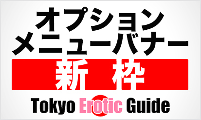 Adult Tokyo Guide