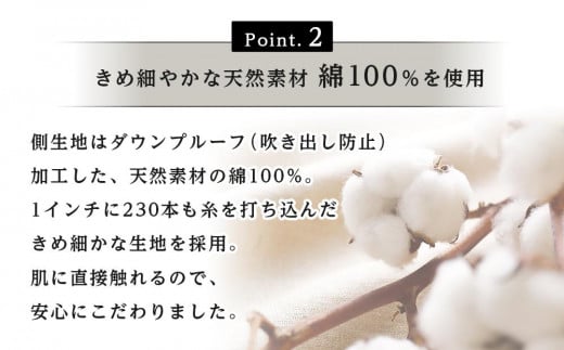 JBJJF】広島国際柔術選手権2024 ② | マスター１～５ 茶・黒帯