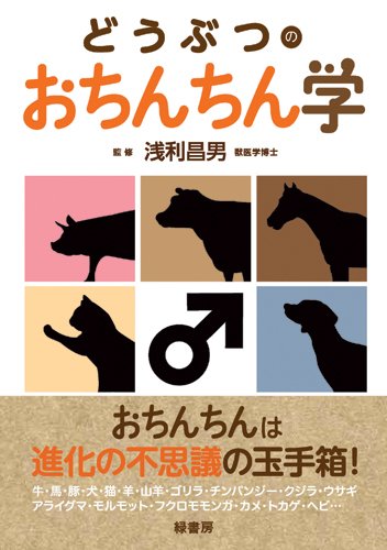 トイレットペーパーの芯チャレンジ】チンコの理想サイズは芯の大きさって本当なの？ | Men's