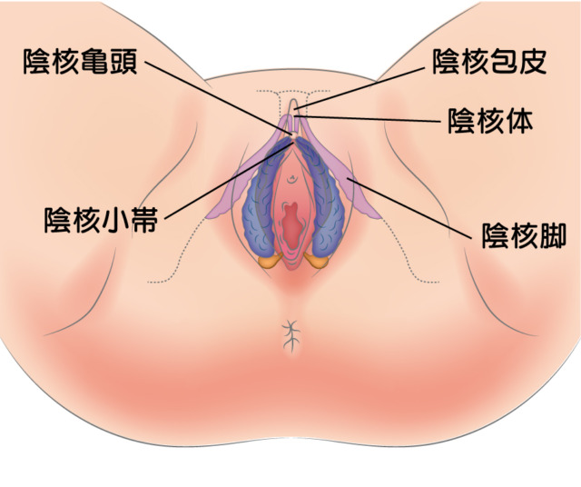 女性が中イキしやすくなる方法やコツからできない原因まで解説 | コラム一覧｜ 