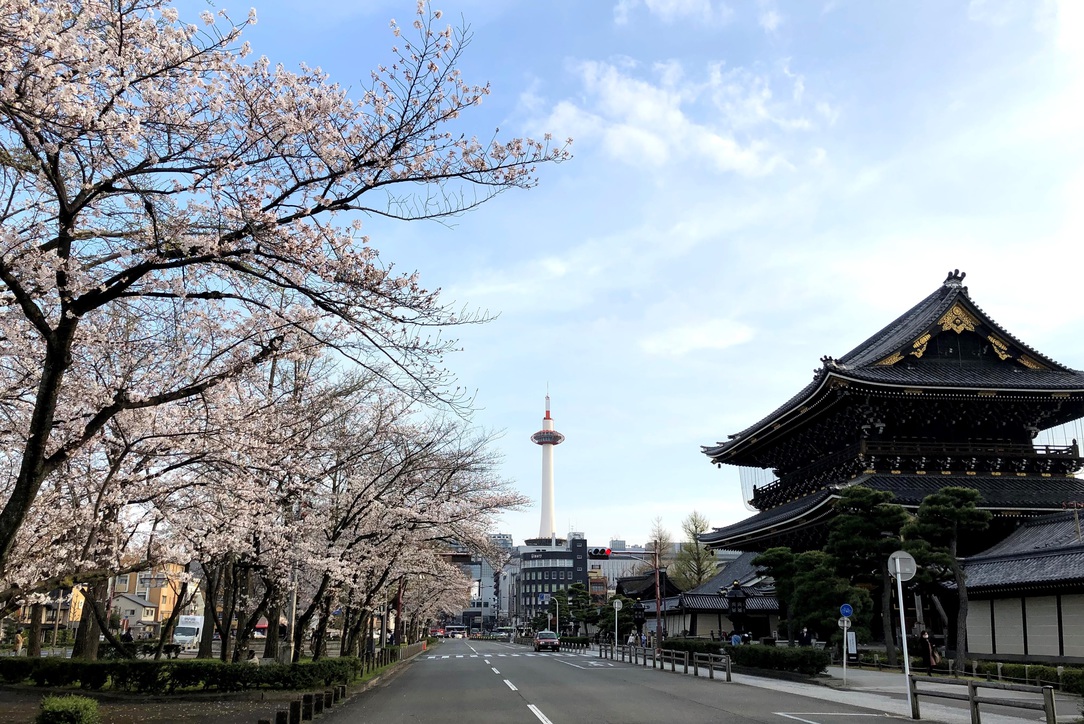 ホテルステーション京都西館 | ちゃちゃの気まぐれ日記