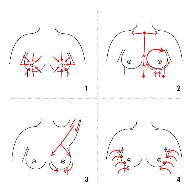 おっぱいスペシャリスト直伝！バストアップマッサージのやり方まとめ | 美的.com