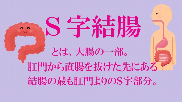 便秘、解消されていますか？ | フラワー薬局通信