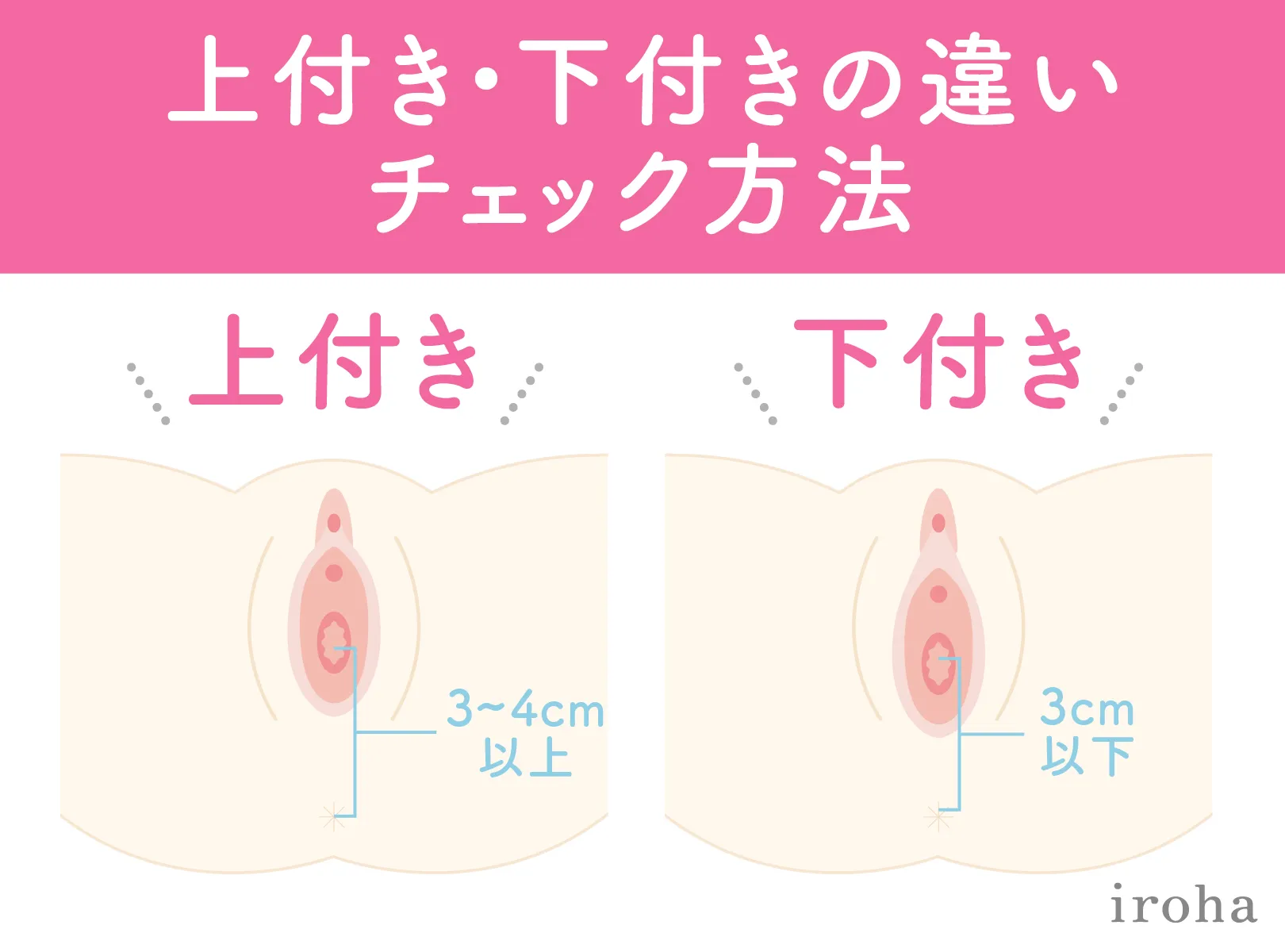 膣の位置は年齢で変わる！？上付き、下付きについて婦人科医に聞きました。 | ランドリーボックス